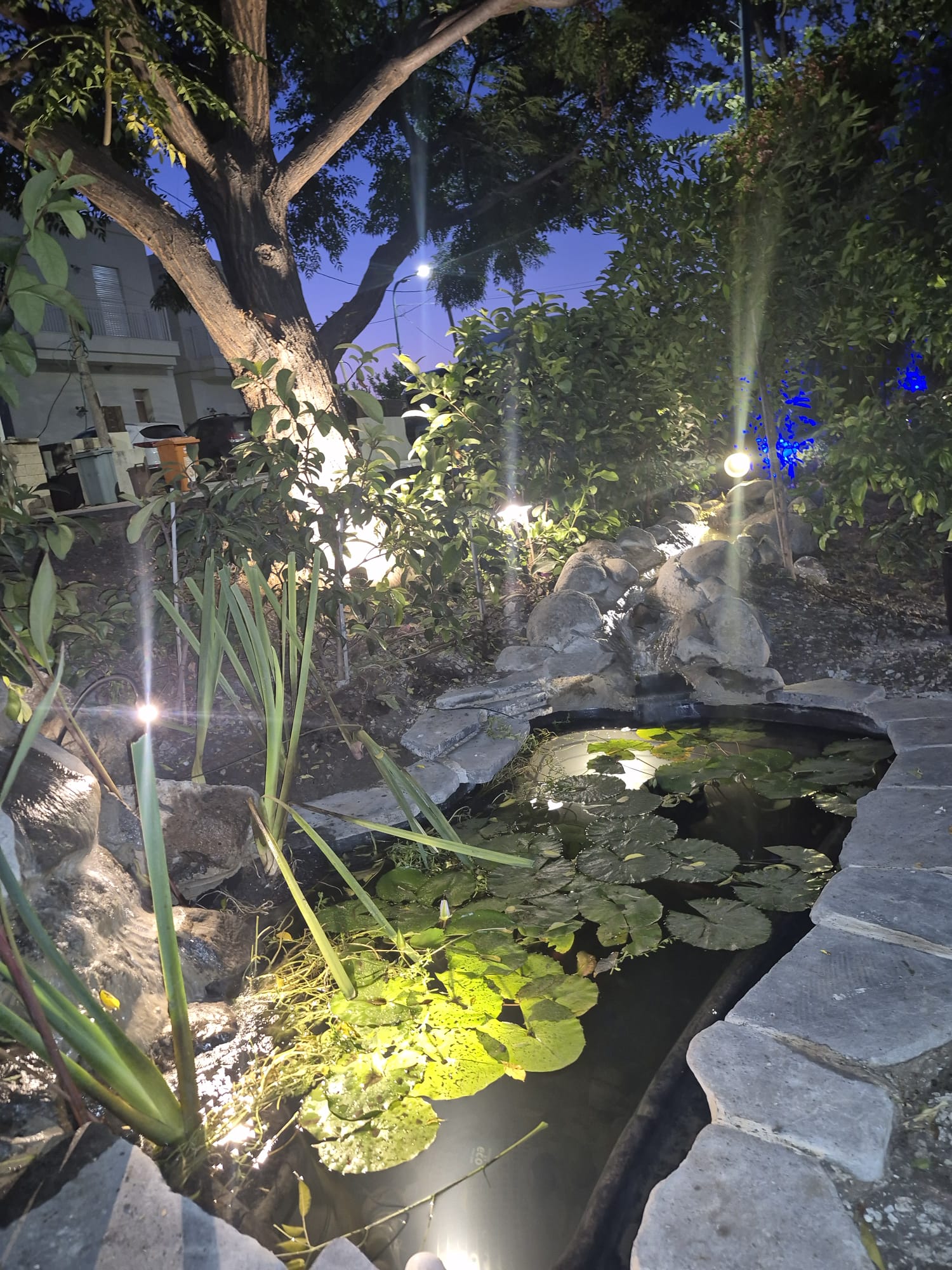 הקמת תאורת גינה יד חנה